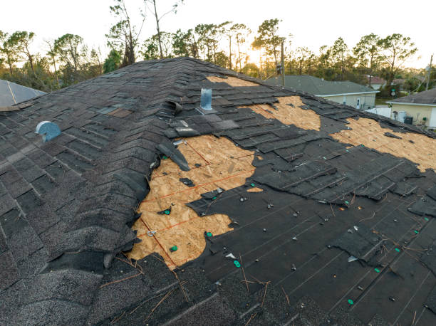 Best Green or Eco-Friendly Roofing Solutions  in Glendale, CO